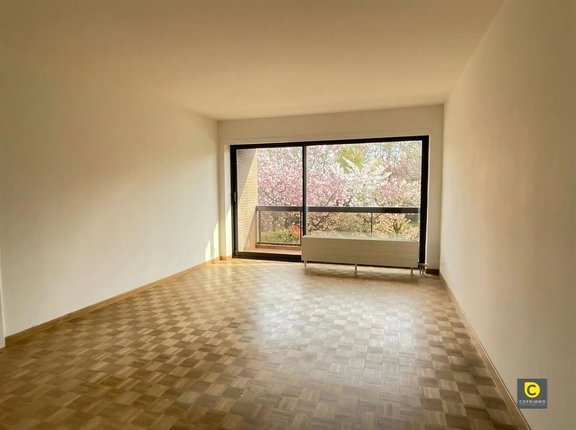 1-slaapkamerappartement in rustige buurt in Berchem foto 3