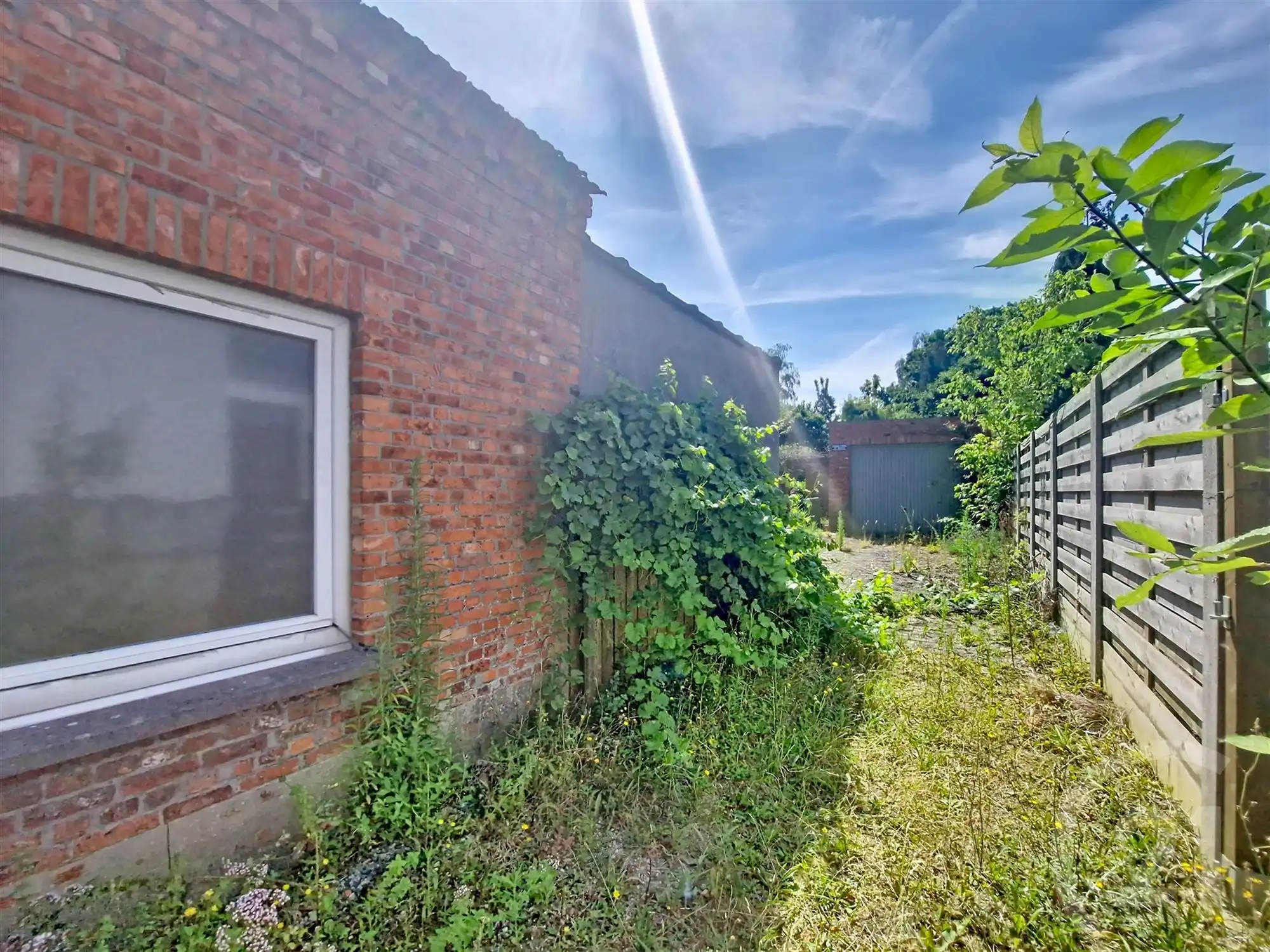 Huis te koop in Begijnendijk! foto 21
