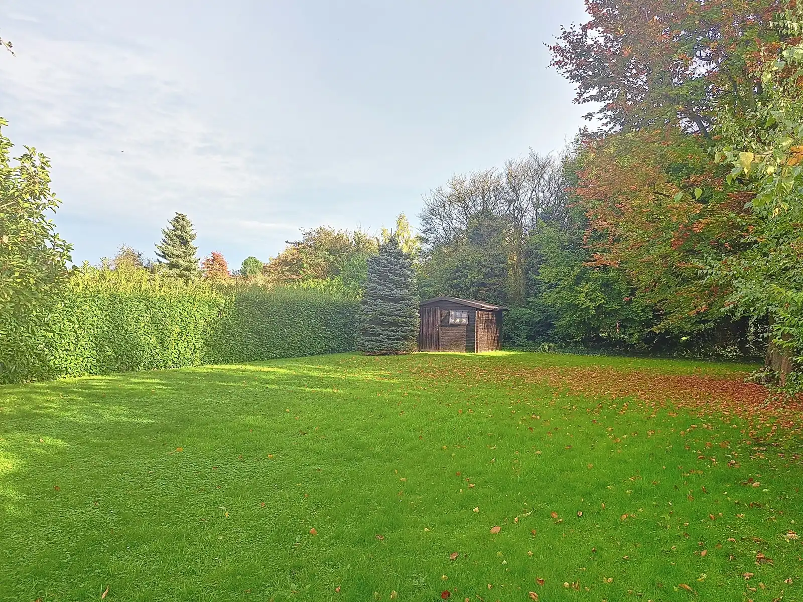 Huis te huur foto 14