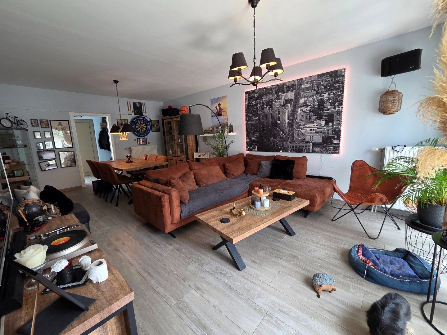 Instapklare woning met tuin in rustige wijk nabij centrum Vilvoorde foto 5