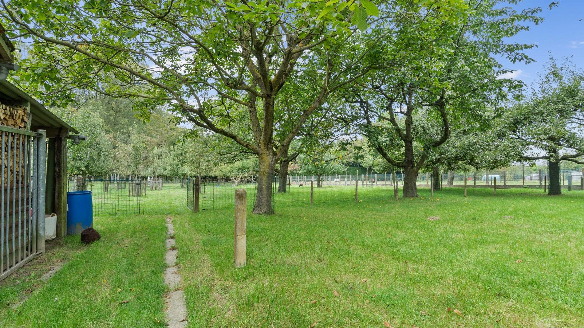 BINKOM - knappe hoeve + bouwgrond op bijna 60a foto 22