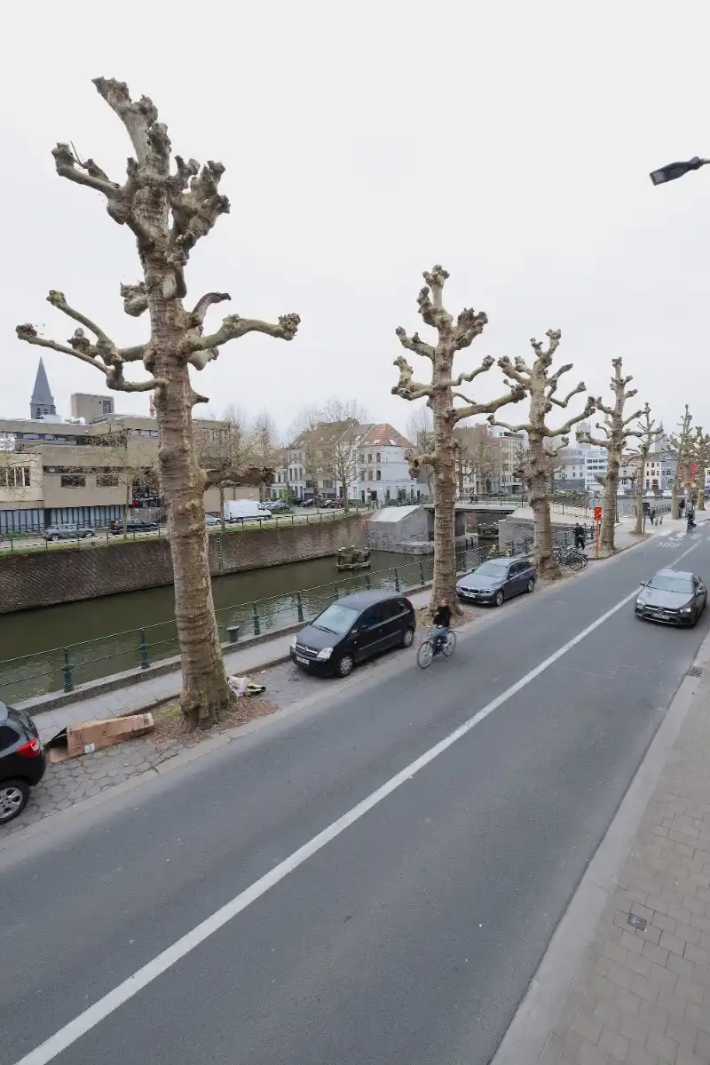 Charmante stadswoning met karakter en veel licht nabij het water in Gent foto 19