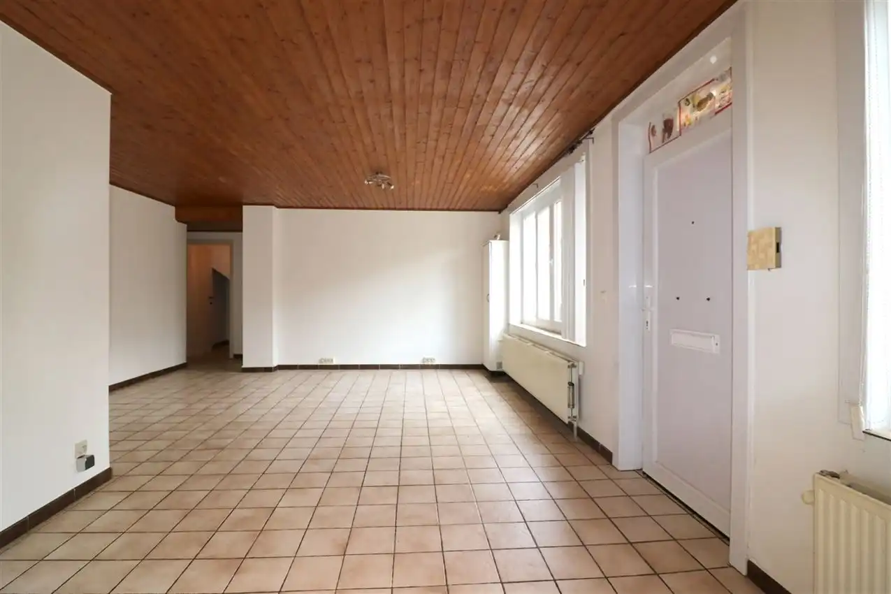 charmant, ruim, mogelijkheid beroep of kangoeroe foto 50