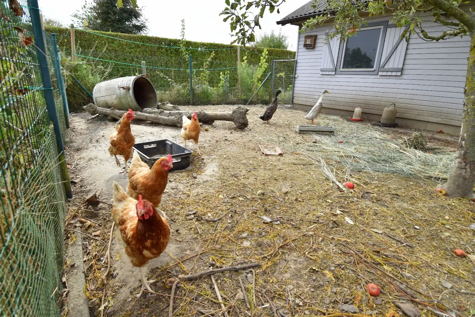 Charmante alleenstaande woning met 3 slaapkamers, tuin en garage in een rustige straat te Rollegem foto 22