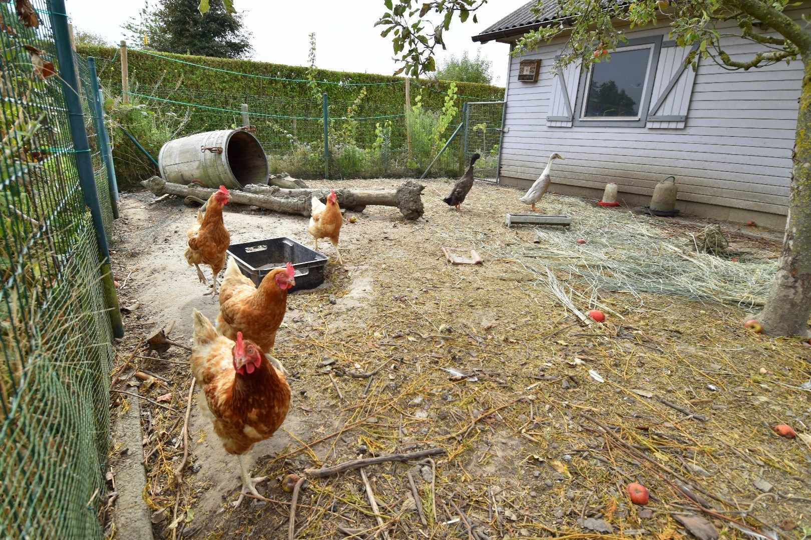 Charmante alleenstaande woning met 3 slaapkamers, tuin en garage in een rustige straat te Rollegem foto 22