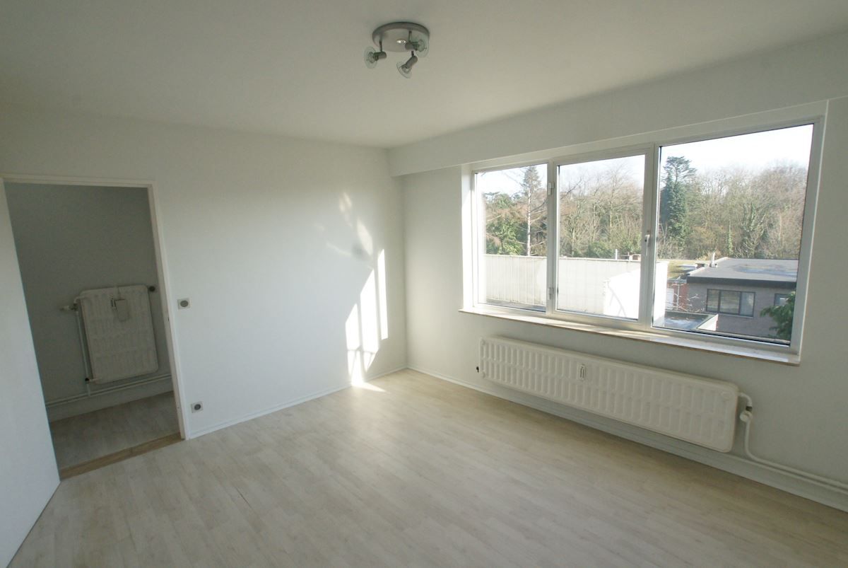 Ruim dakappartement met terras foto 6