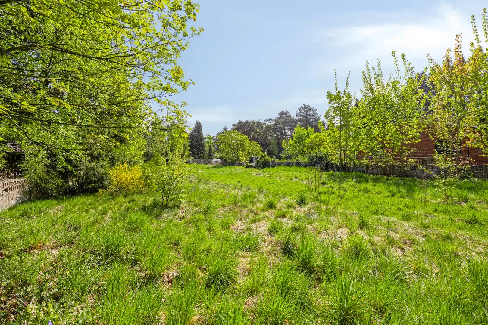 Prachtig gelegen bouwgrond van 1.277 m² voor ruime open bebouwing ! foto 9