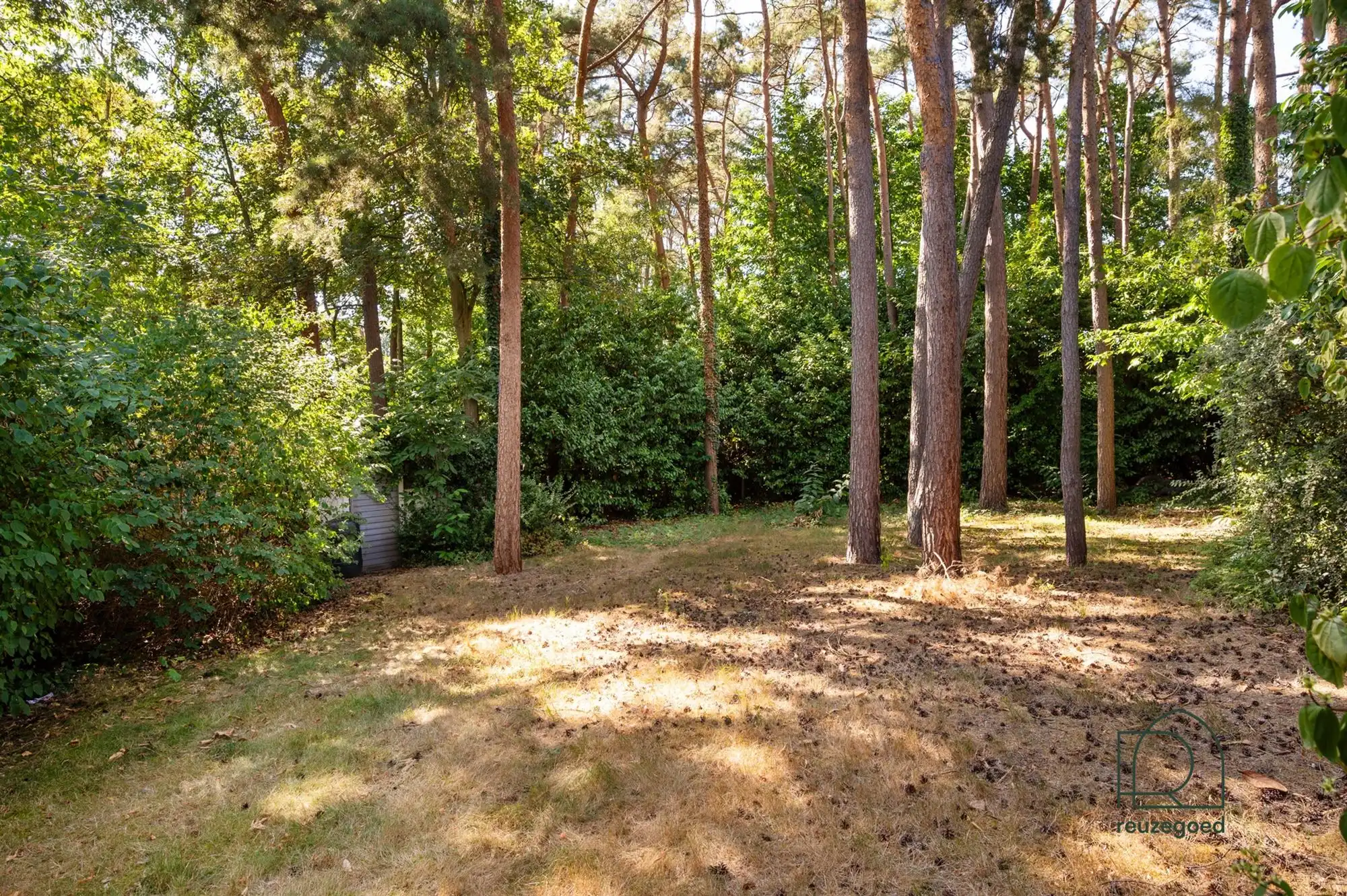 Charmante gerenoveerde open bebouwing op een prachtig perceel foto 26