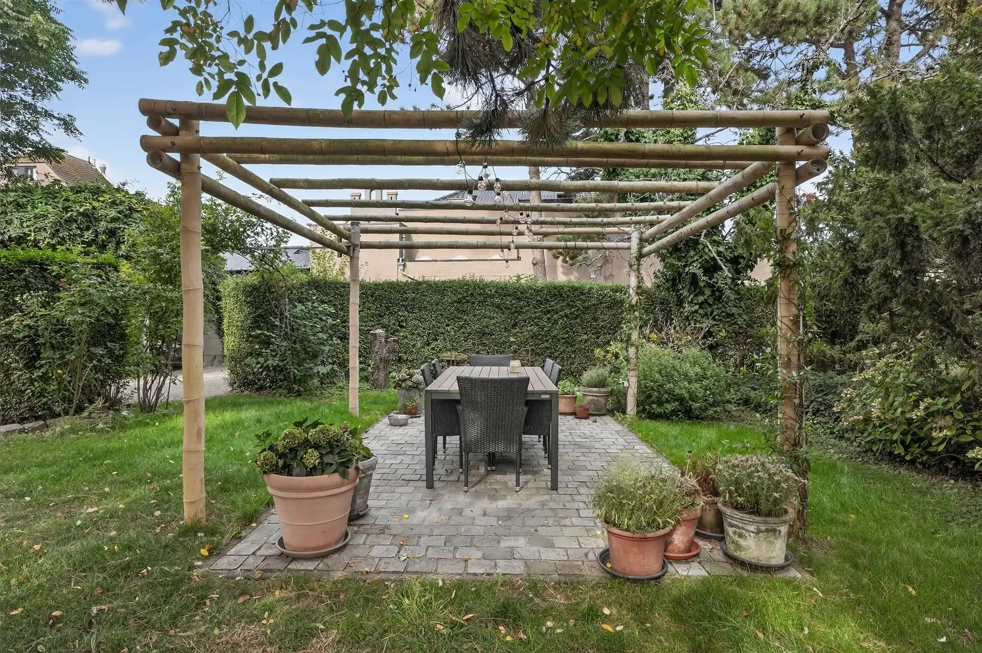 EXCLUSIEF / GROENE OASE  foto 40