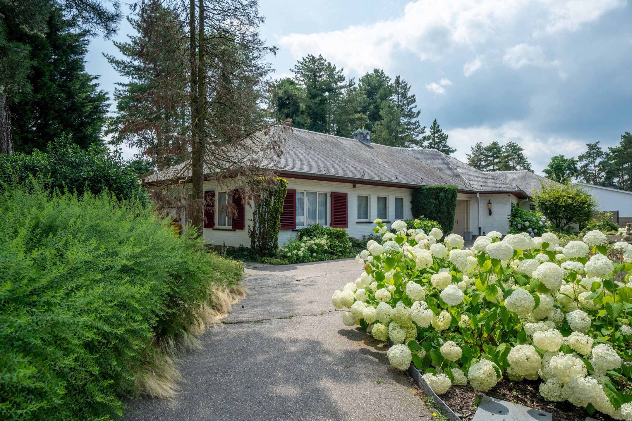 Charmante gelijkvloersvilla met 4 slpk en 2 bdk op 2.092 m² foto 42