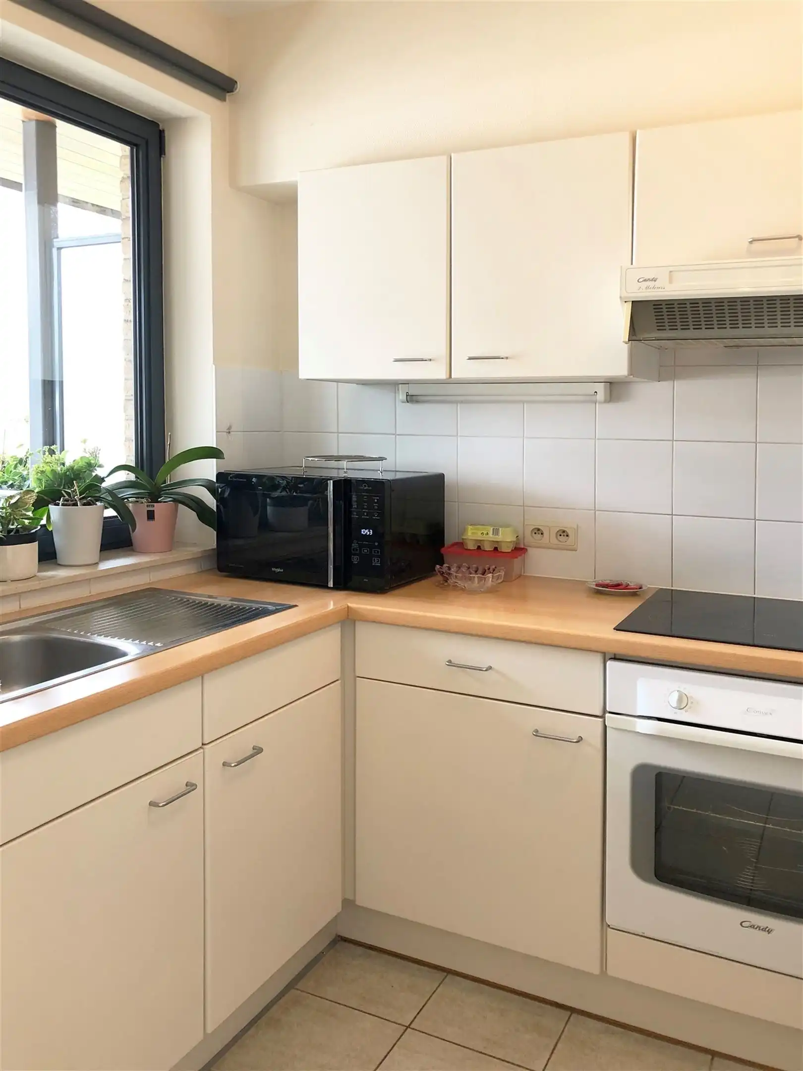 App met 1 slpk in centrum Oudenaarde foto 6