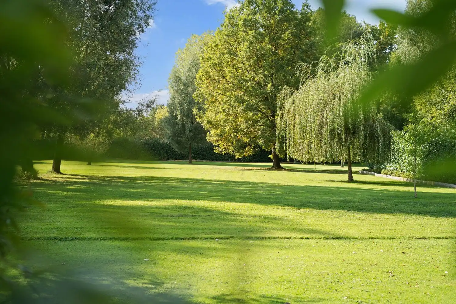 rustig gelegen klasse-VILLA met aangename leefruimtes - mooi terrein (park of weide) van 67 are foto 7