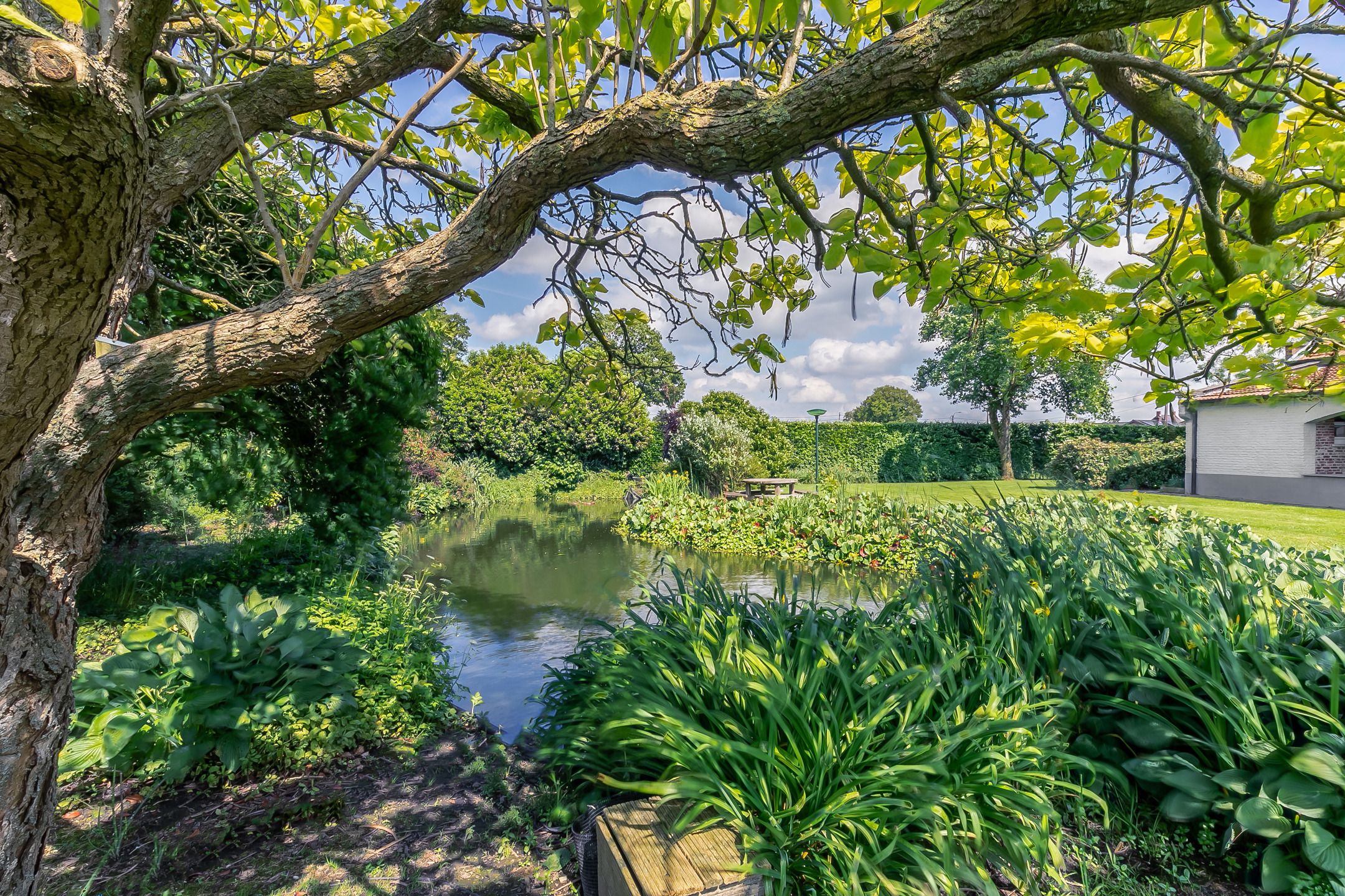 Authentieke herenhoeve op ruim perceel van 5.856 m² foto 29