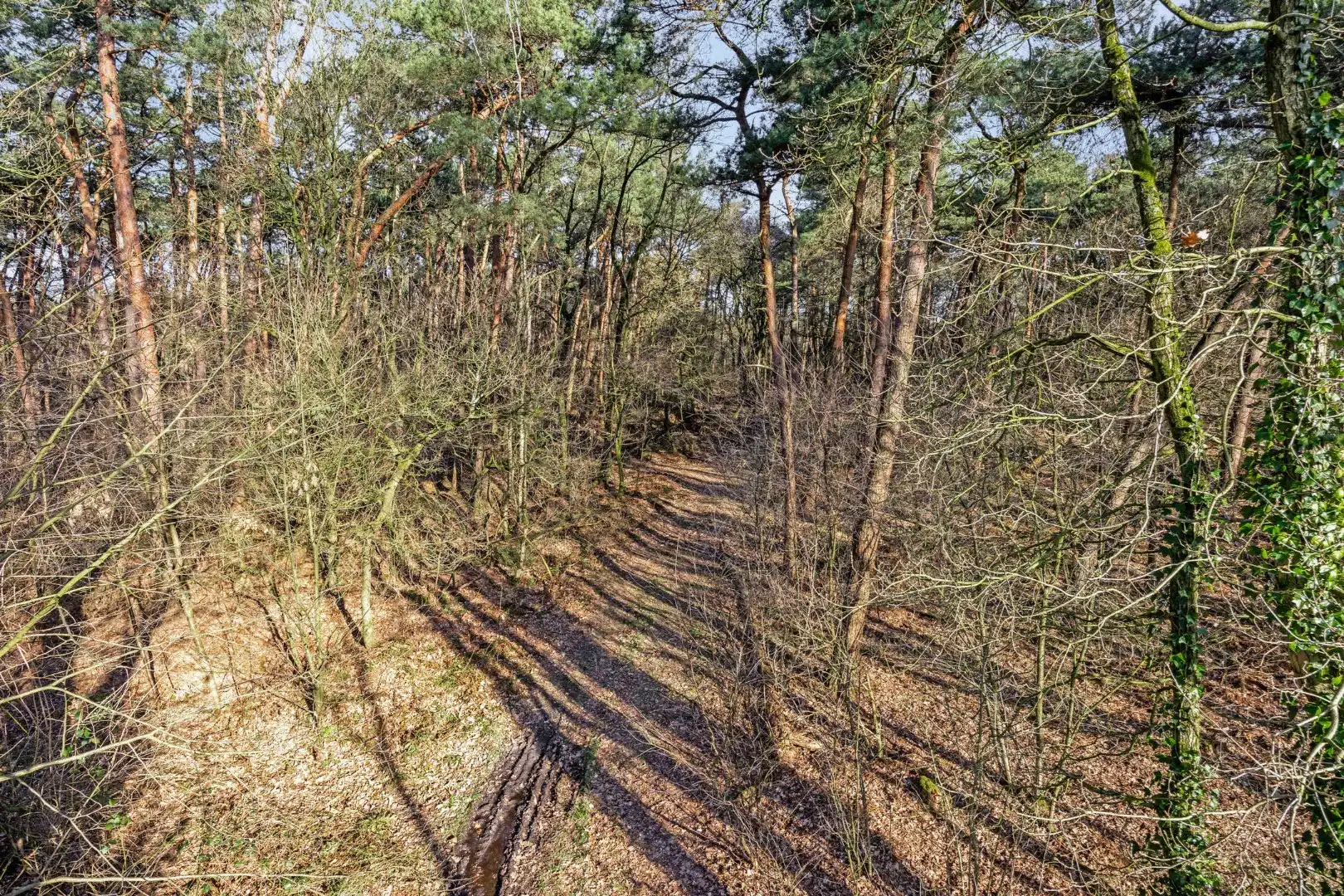 Unieke woonst op 13 hectare: rust, natuur en eindeloze mogelijkheden! foto 15