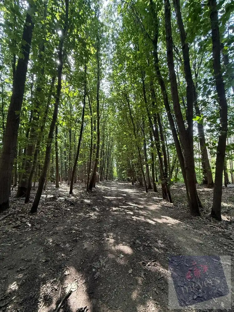Bosperceel van circa 10 are in groene omgeving te Houthalen-Helchteren foto 6
