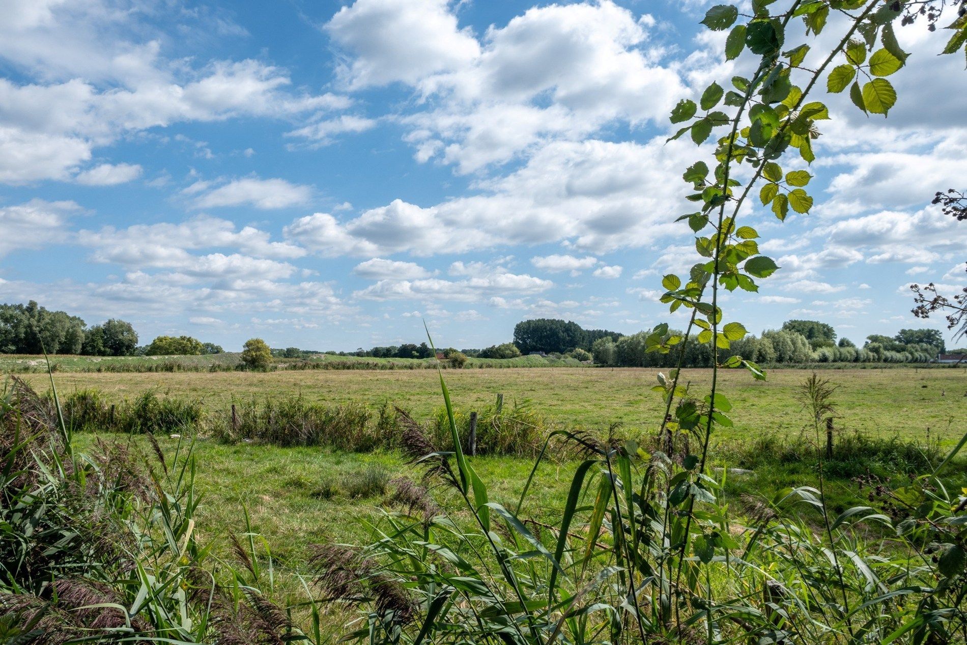 Volledig instapklaar huis met mooie tuin te Damme foto 8
