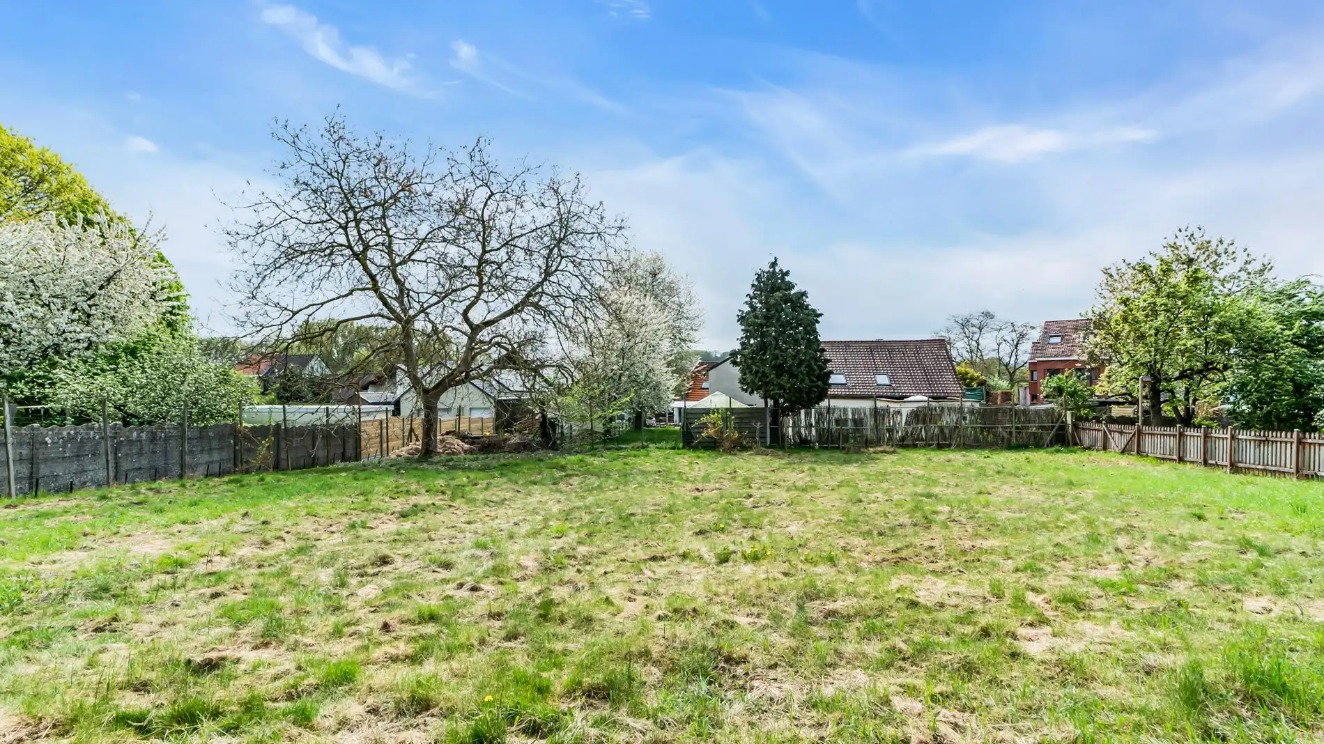 LINDEN (grens Kessel-Lo) groot huis met grote tuin foto 19