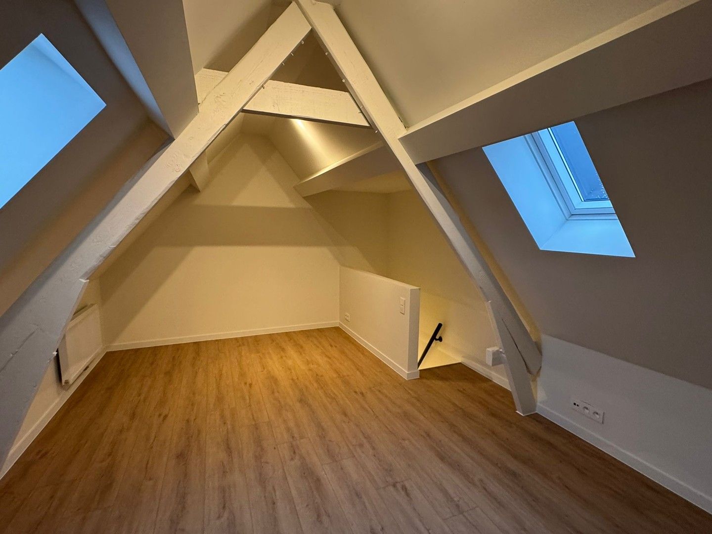 GERENOVEERDE EENSGEZINSWONING foto 5