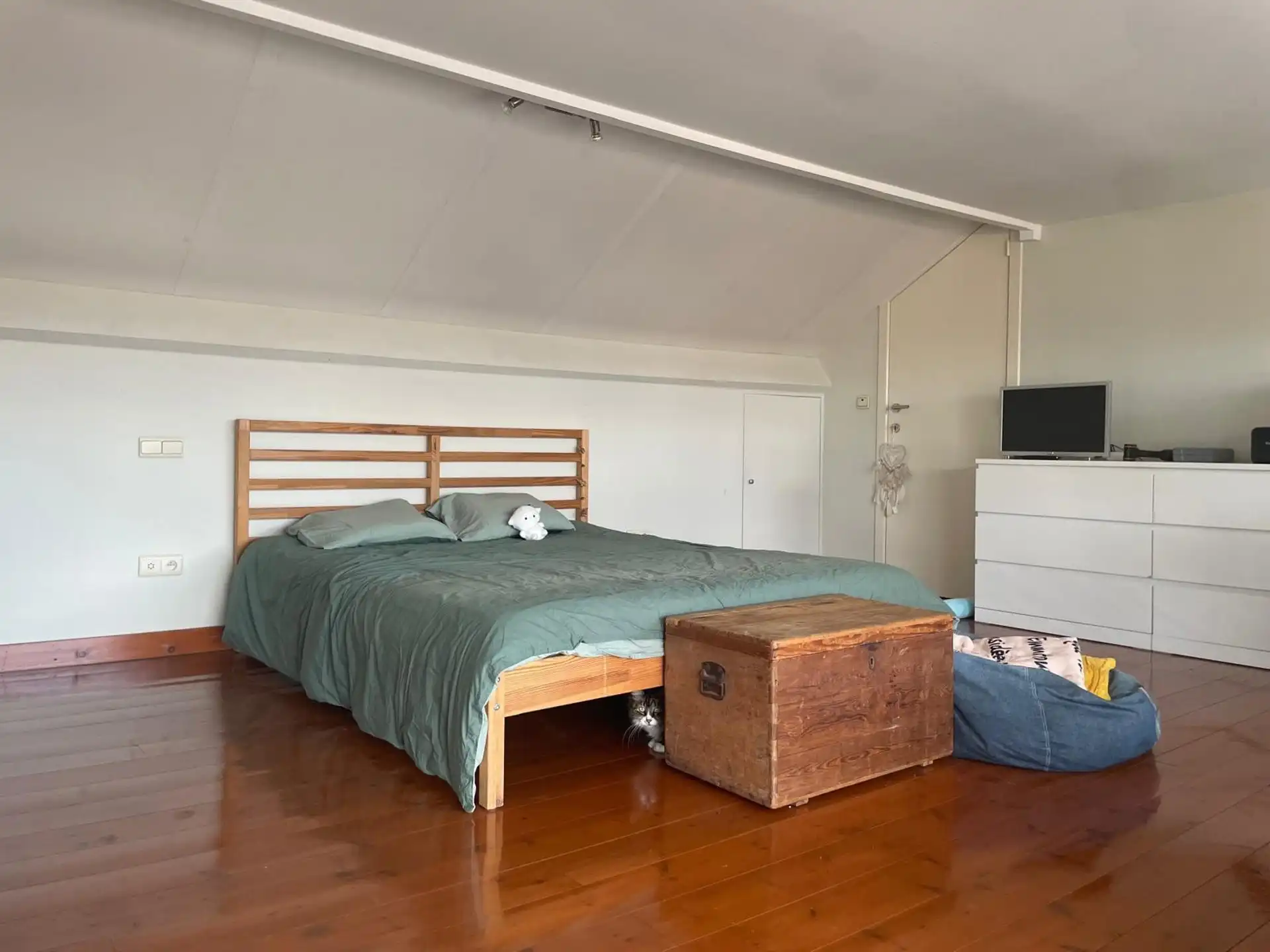 Prachtig penthouse en terras met uitzicht (99m²) foto 7