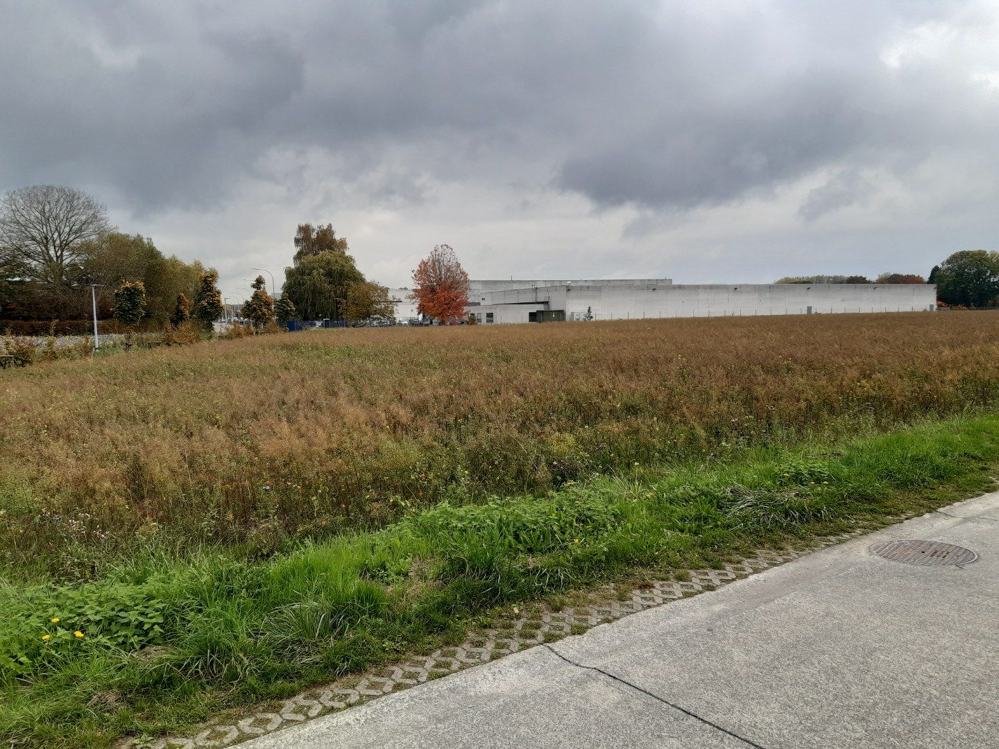 Ruime gezinswoning met 3 slaapkamers foto 2