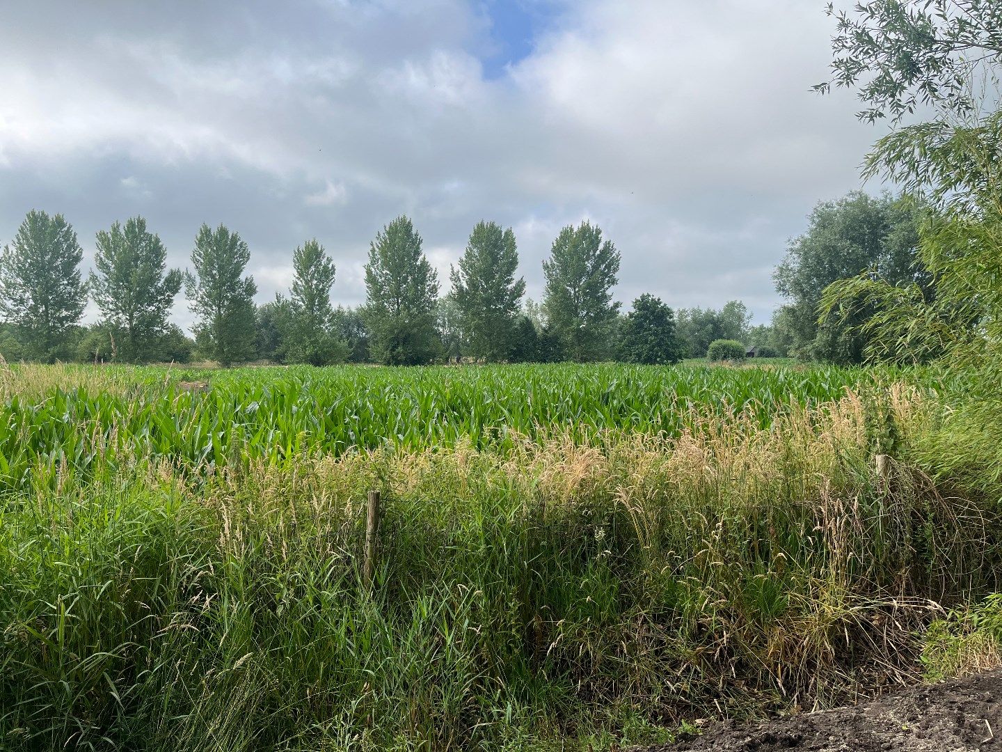 Bouwgrond voor open bebouwing te Sijsele foto 2