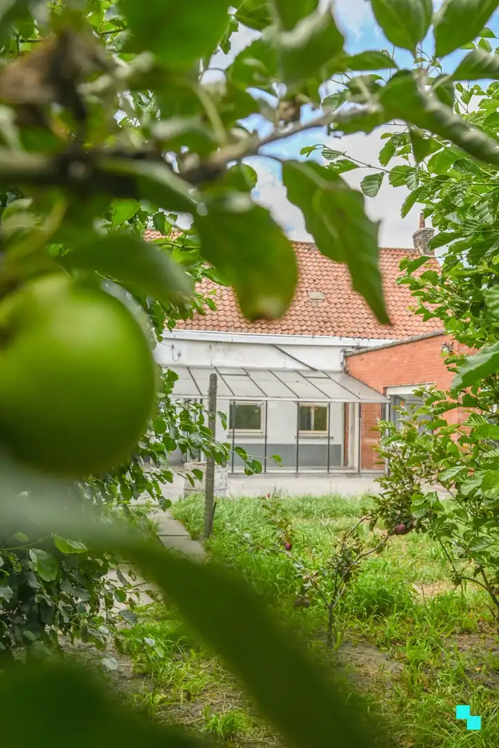 Landelijk gelegen, te renoveren woning op 1.767m² perceel foto 28