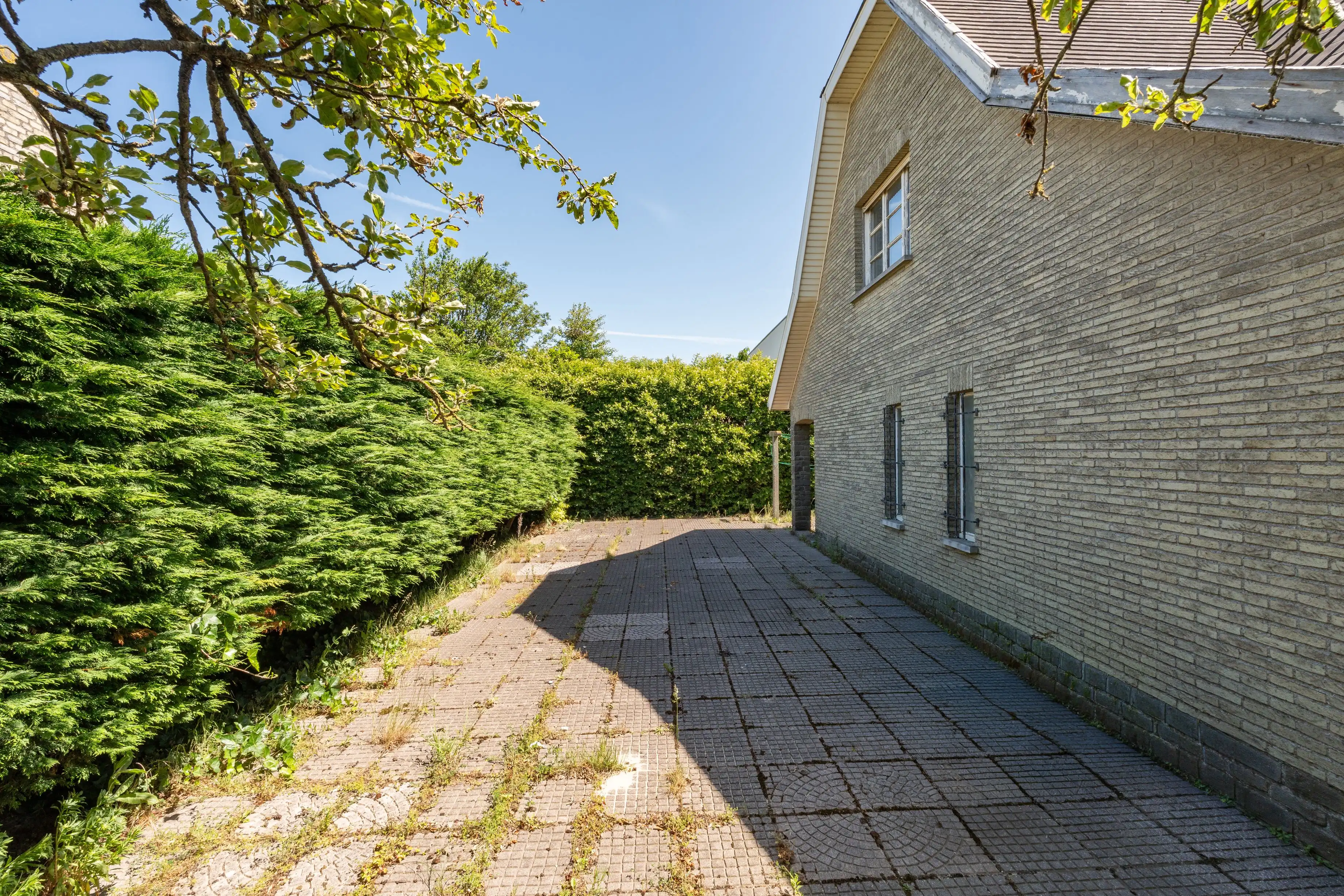 Karaktervolle villa op topligging te Oostende met uitzonderlijk renovatiepotentieel! Leef je hier uit om jouw stempel te drukken ! foto 23