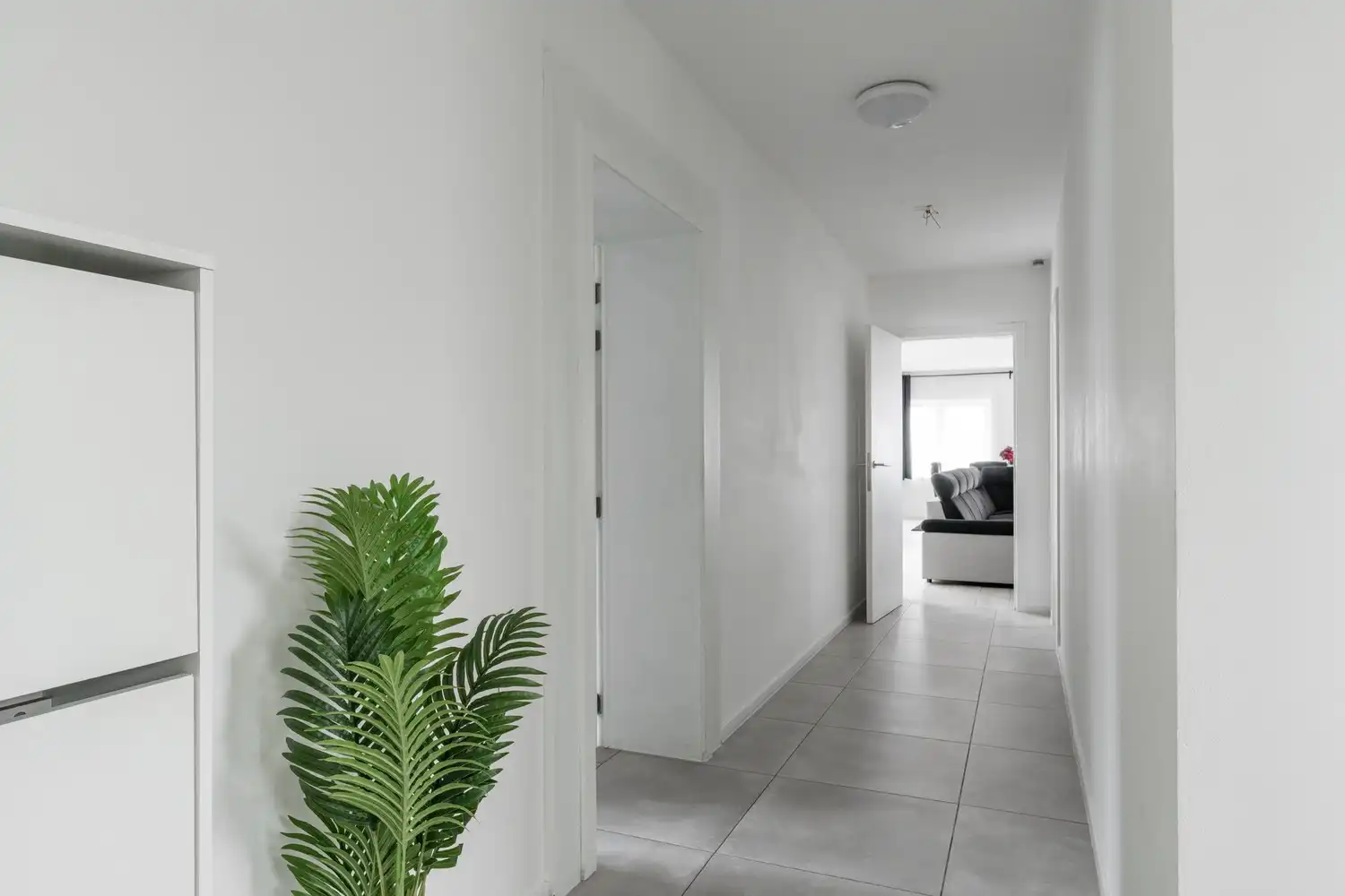 Ruim en lichtrijk 3-slaapkamerappartement met terras & tuin in Achel foto 3