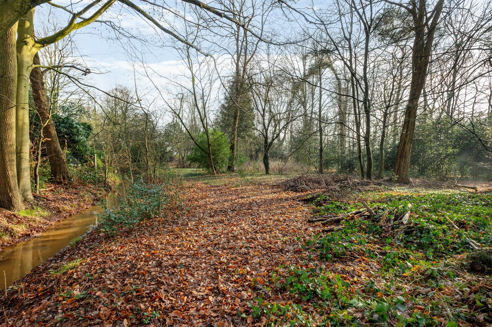 Vrijstaande villa in het groen op een perceel van 3501 m² foto 22