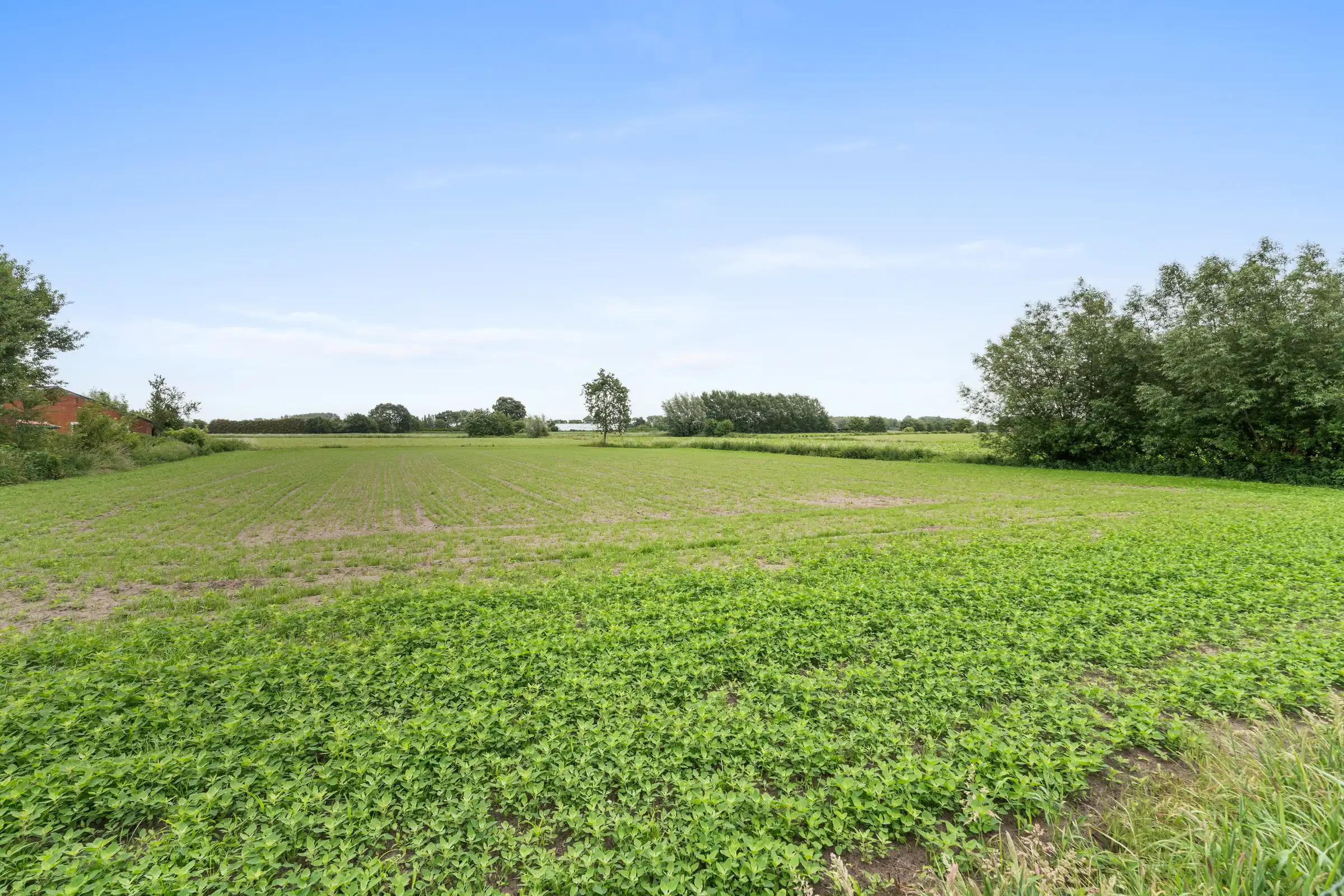 Unieke landwoning met schuur te koop op 6.810m² foto 14