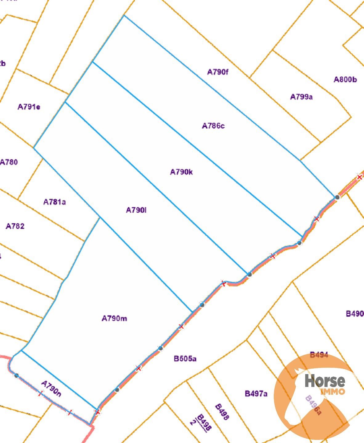HILLEGEM – Landbouwgronden te koop foto 7