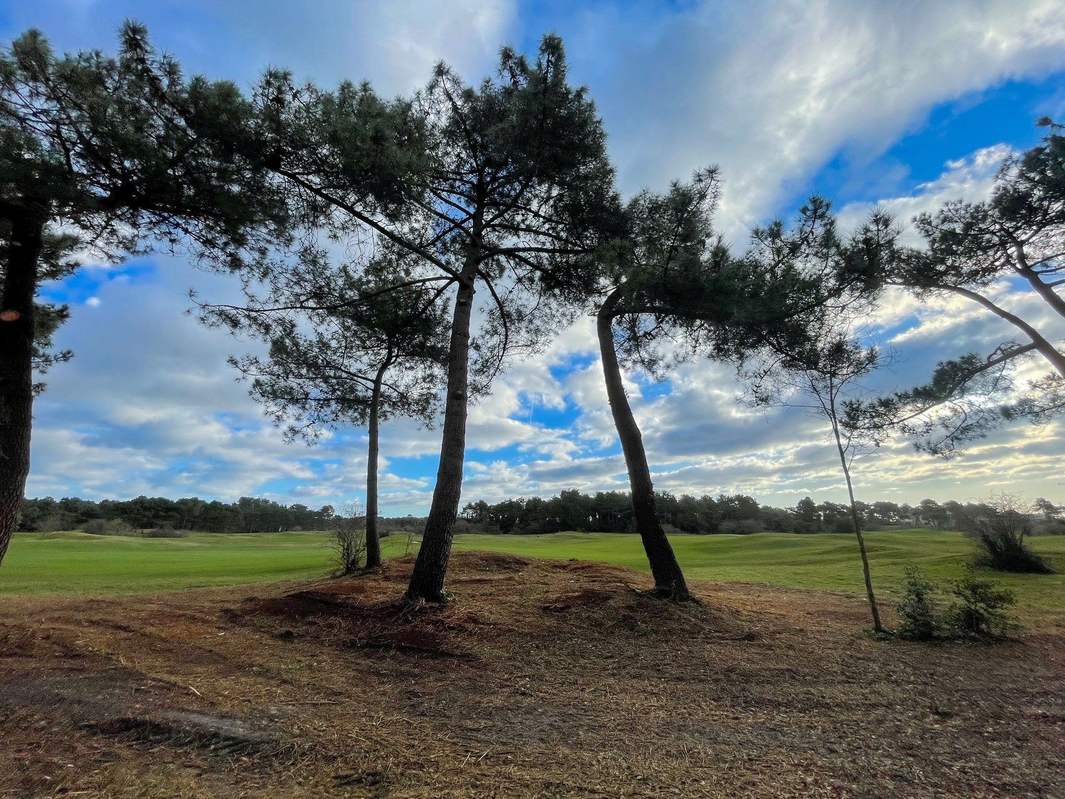 Te renoveren koppelvilla, met uitzicht op de Royal Zoute Golf Club. foto 4