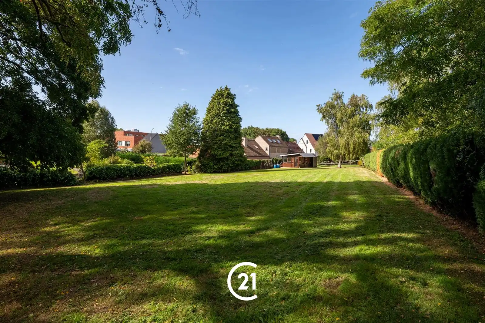 Te renoveren woning op een ruim perceel van 2.220 m² foto 6
