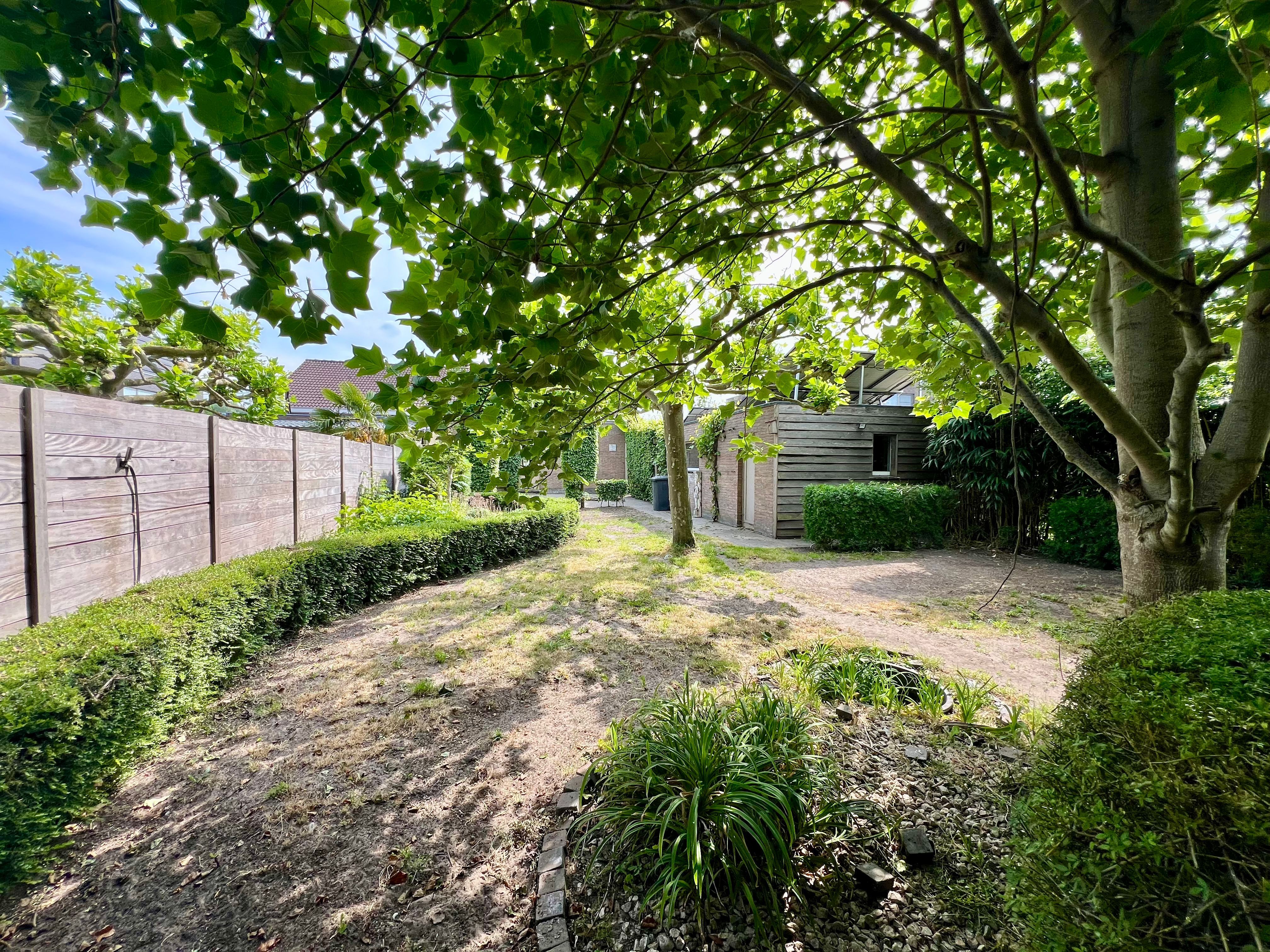 Ruime halfopen vierslaapkamerwoning te Oosteeklo foto 15