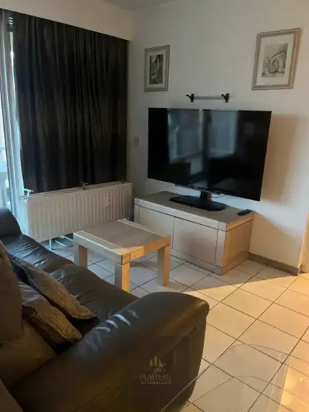 Zongericht appartement met één slaapkamer en slaaphoek. foto 8