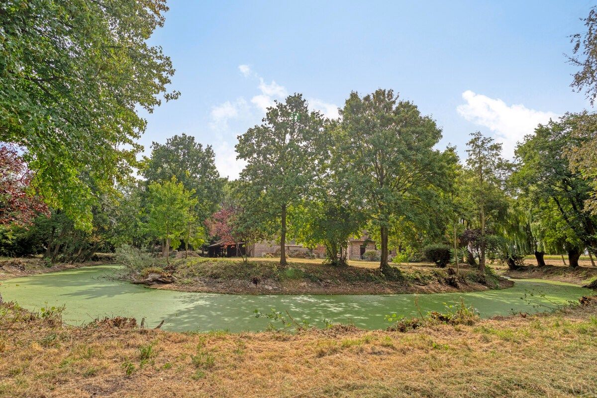 Unieke hoeve met grandeur op 2,3 ha parkdomein  foto 7