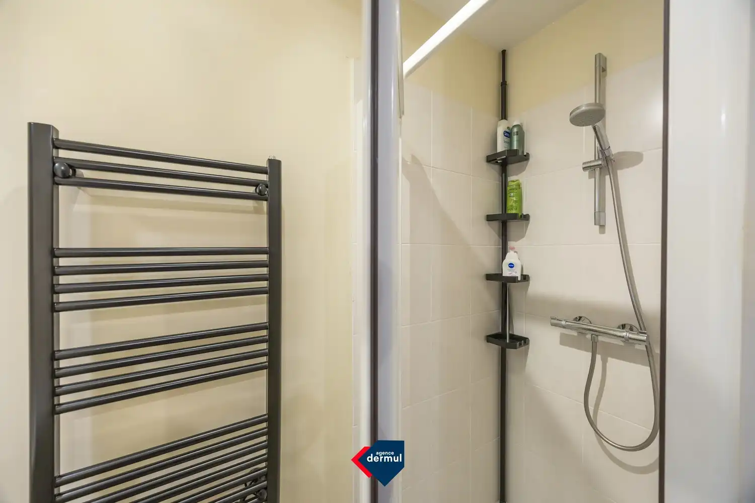 RESIDENTIE CHATEAU TROPEZINA foto 17