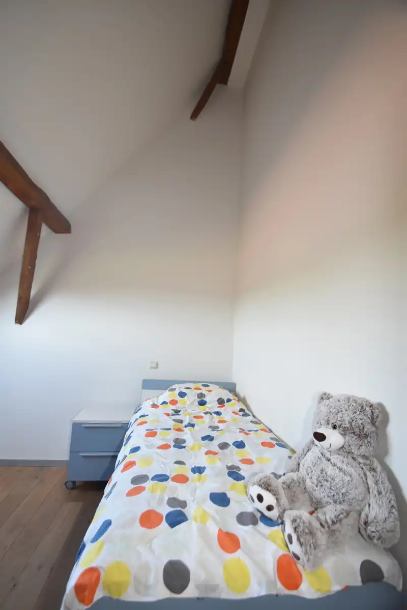 Ruime hoeve(260m²)met unieke historische sfeer&hoge plafonds foto 21