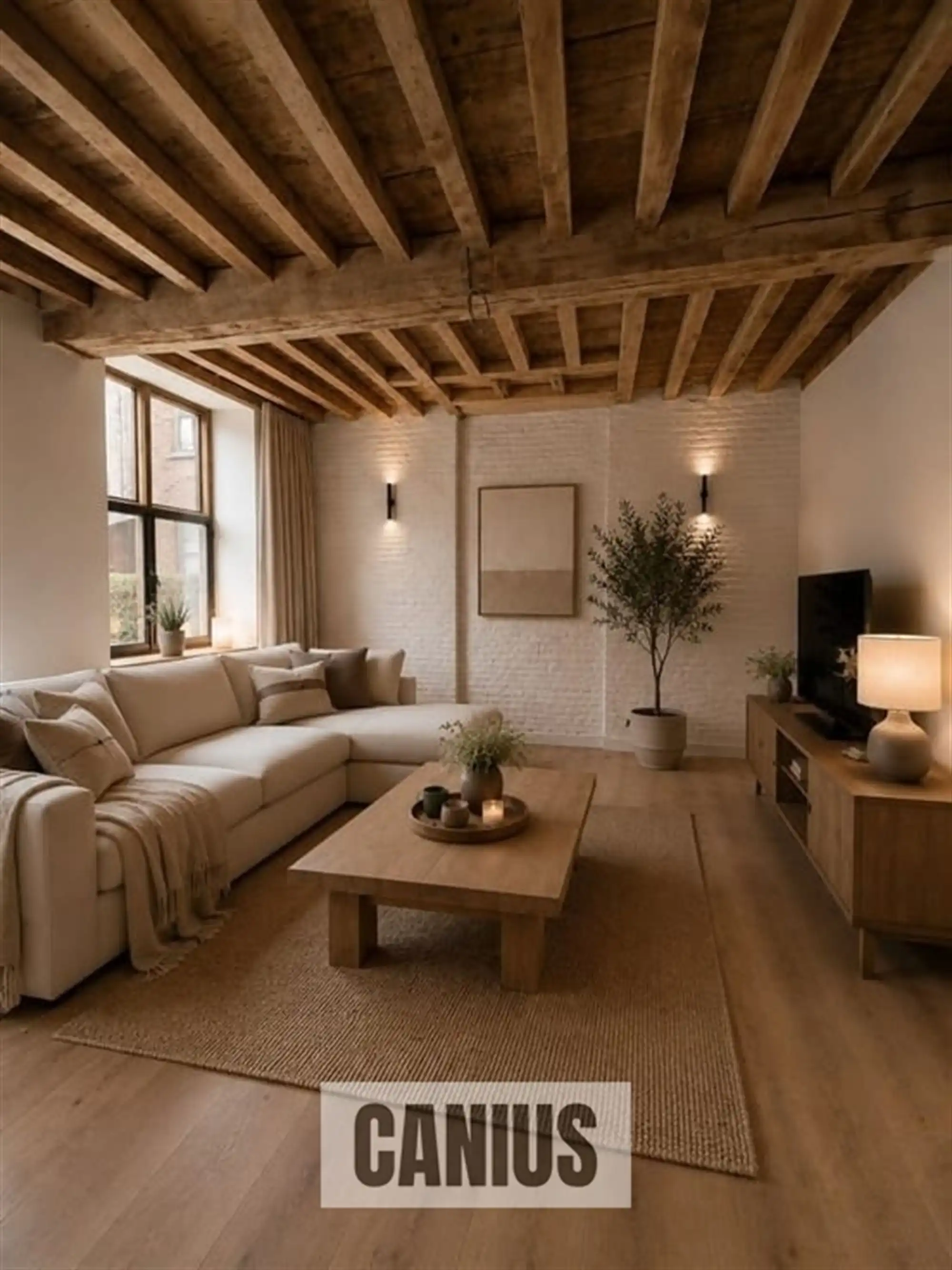 STATIGE WONING MET 3 SLKS EN TERRAS  foto 8