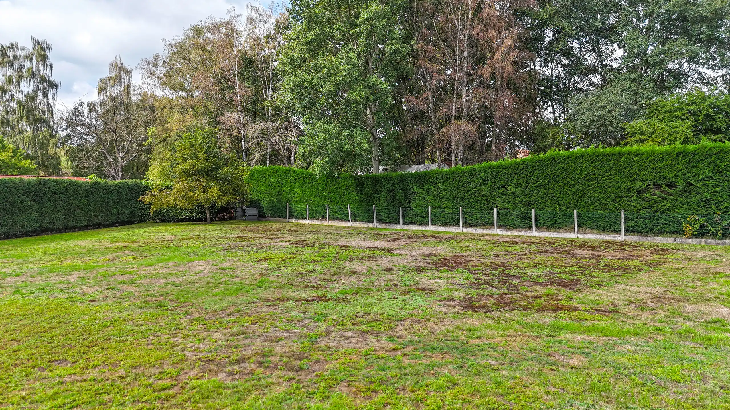 Interessant project voor 2 open bebouwingen te Koersel! foto 20