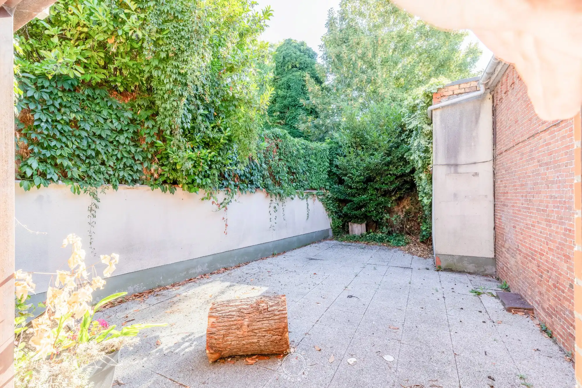 Veelzijdig handelspand foto 4