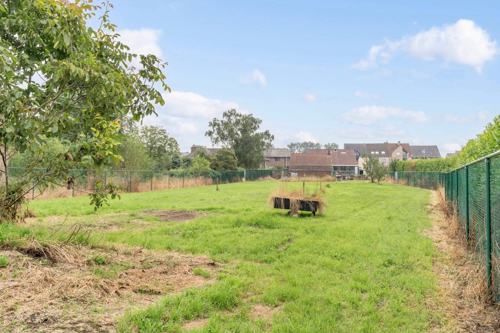 Comfortabele, praktisch ingedeelde woning gelegen op een riant perceel van 26a13ca op een rustige locatie nabij het centrum van Maaseik!  foto 32