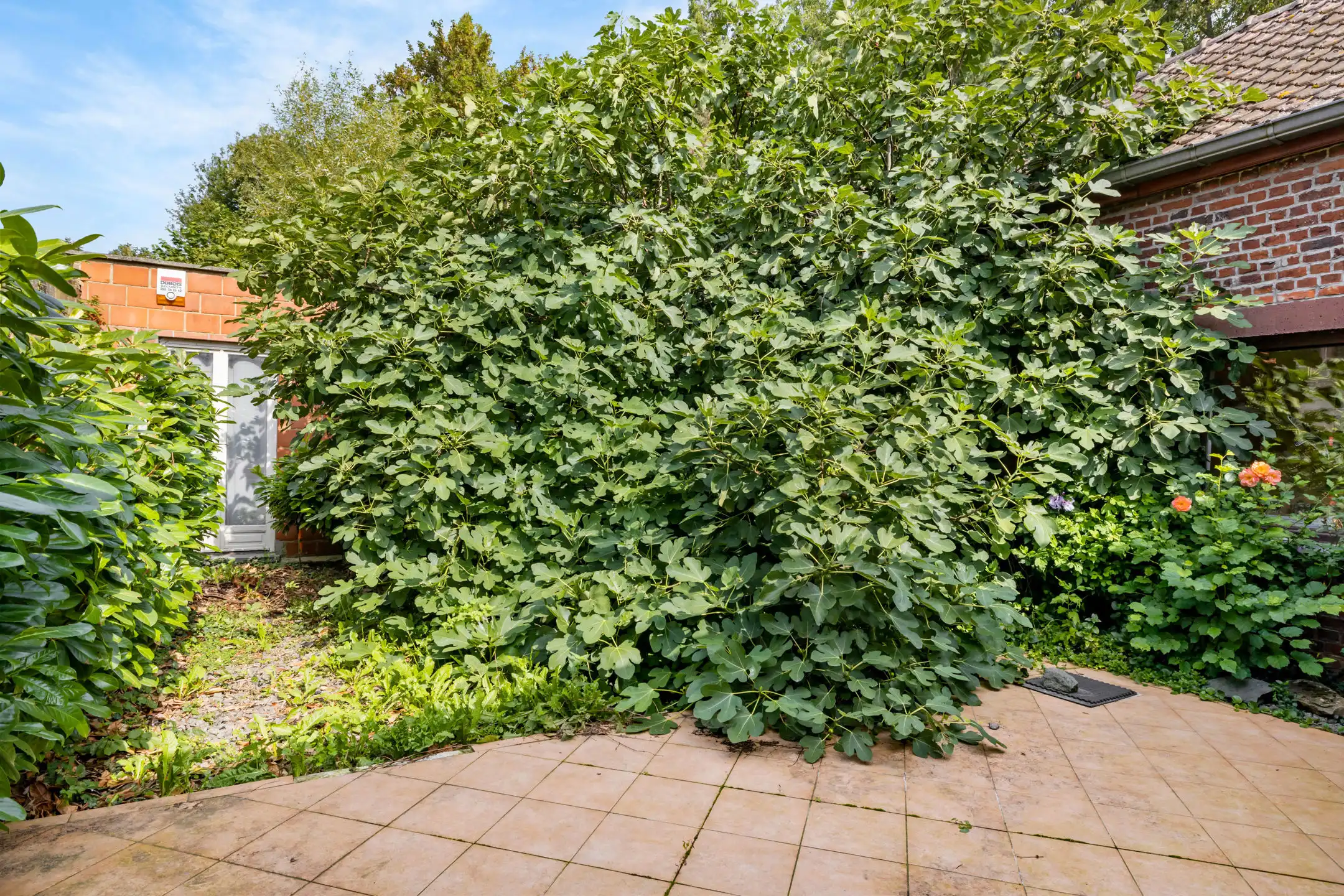 Zeer ruime energiezuinige woning (526m²) op 37a45ca foto 23