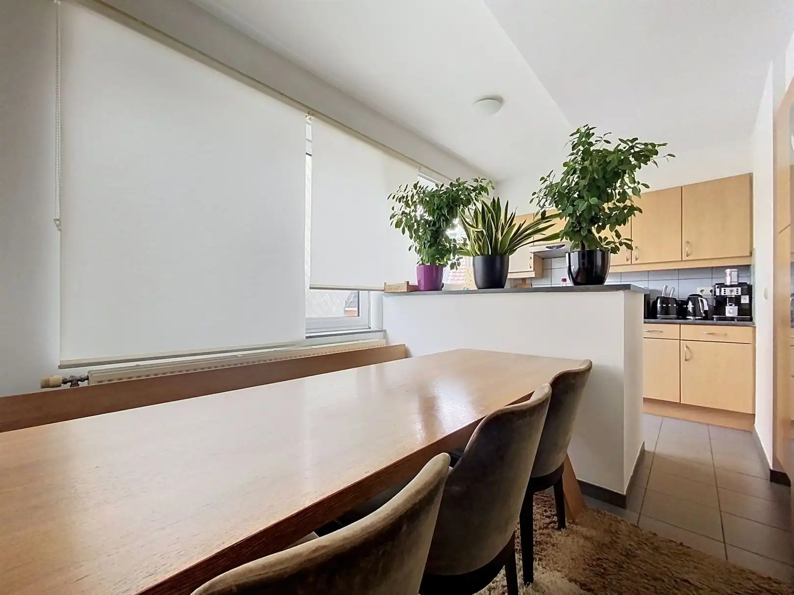 Instapklaar appartement met terras centrum Brasschaat  foto 4