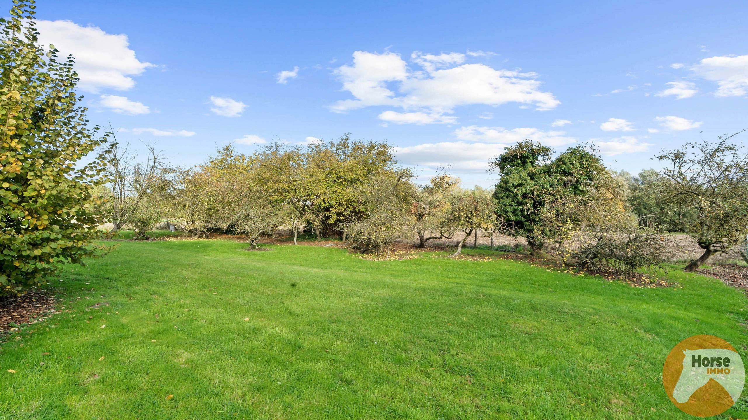 ASSE - Te renoveren hoeve met ruime schuur op 1,85 ha foto 14