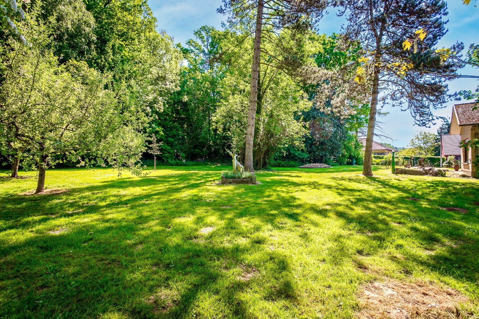 Ruime, charmante villa aan de rand van het Kluisbos foto 24