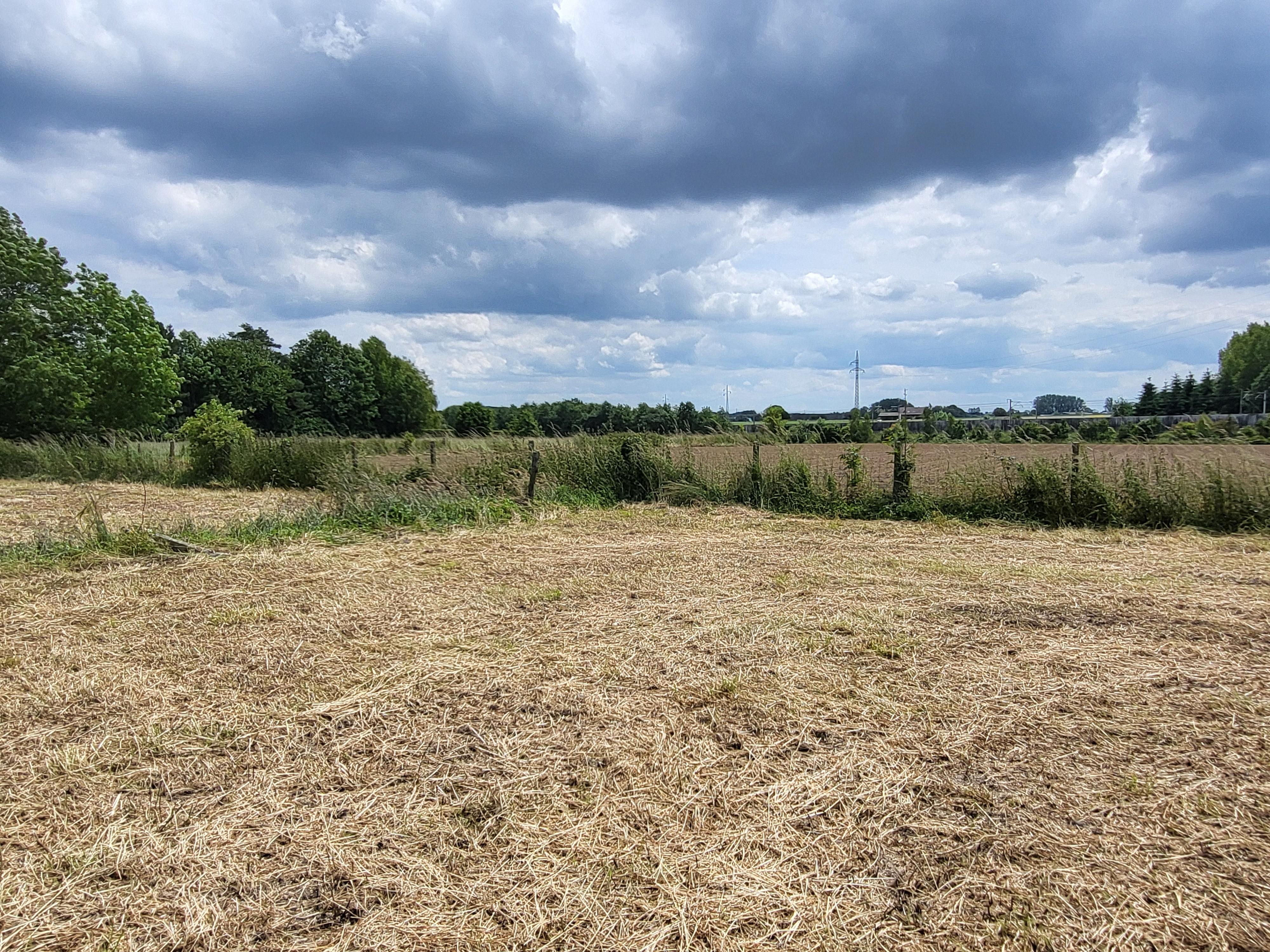 Charmant te renoveren vierkanthoeve op 2696m² met panoramisch uitzicht op de velden.  foto 29