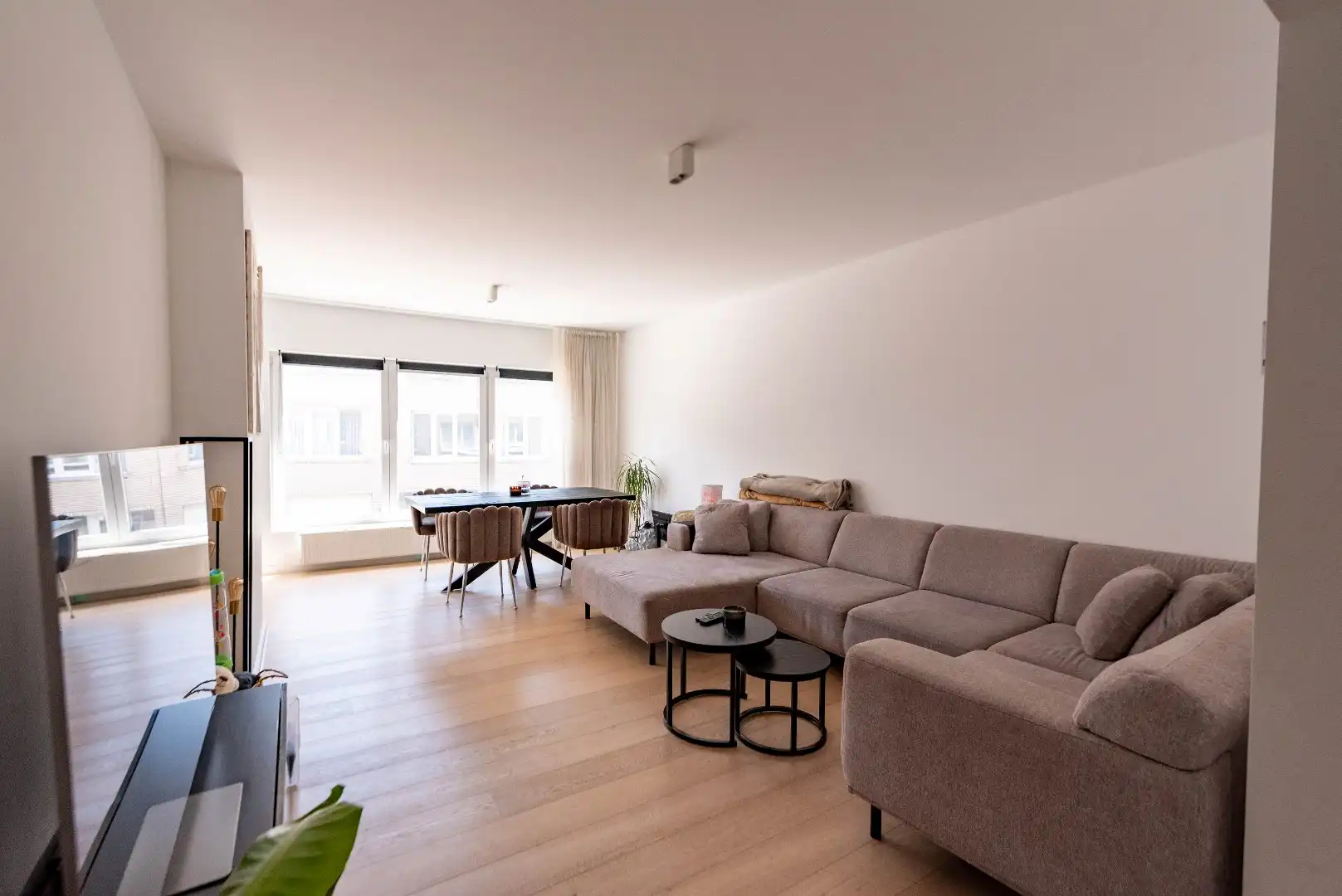 Kleinschalig wonen in de Zwarte Arendwijk foto {{pictureIndex}}