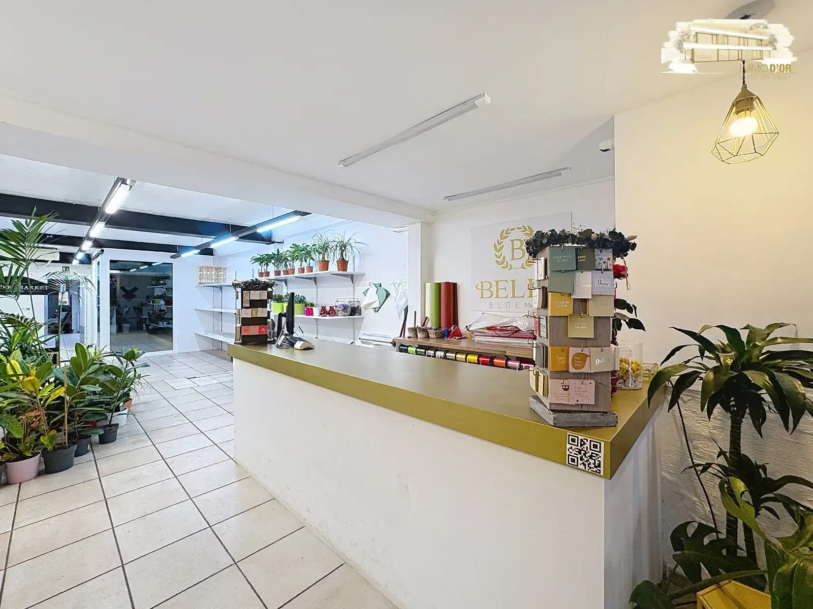 Te koop In hartje Brasschaat handelspand + duplex foto 18