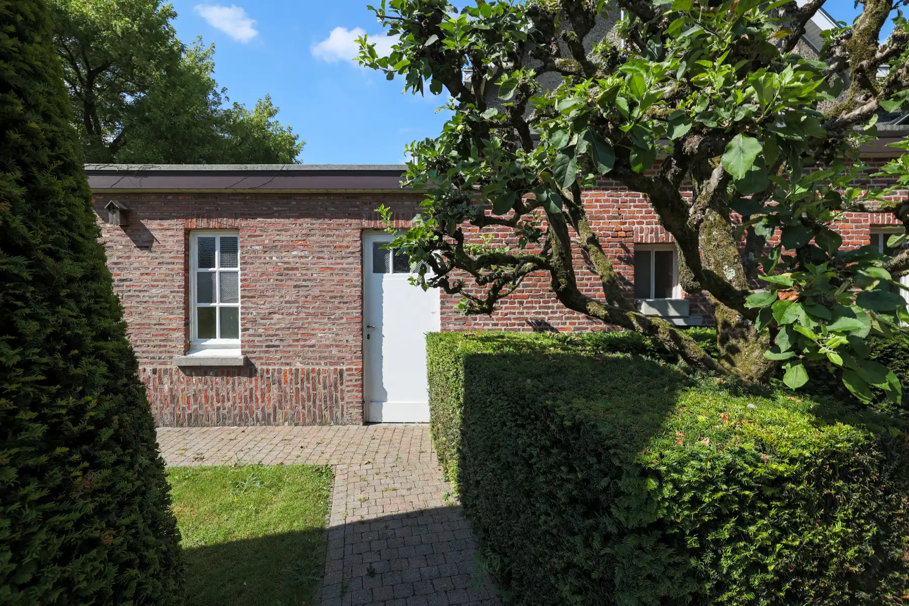 Cottage vibes & een tuin vol dromen foto 17